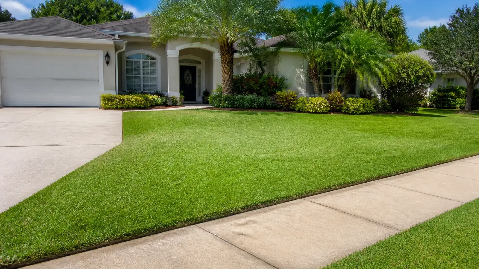 A freshly cut and edged front lawn beside a driveway, with palms and shrub beds